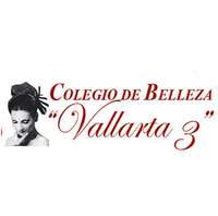 Logo de Colegio de Belleza Vallarta 3
