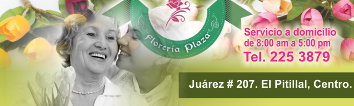 Portada de Florería Plaza 
