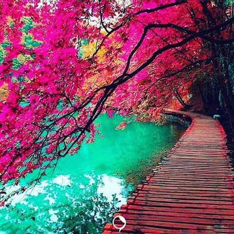 Portada de New store