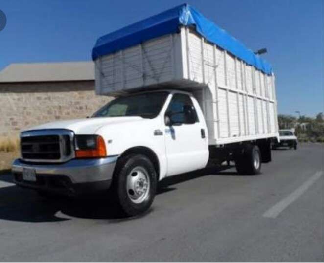 Portada de New store