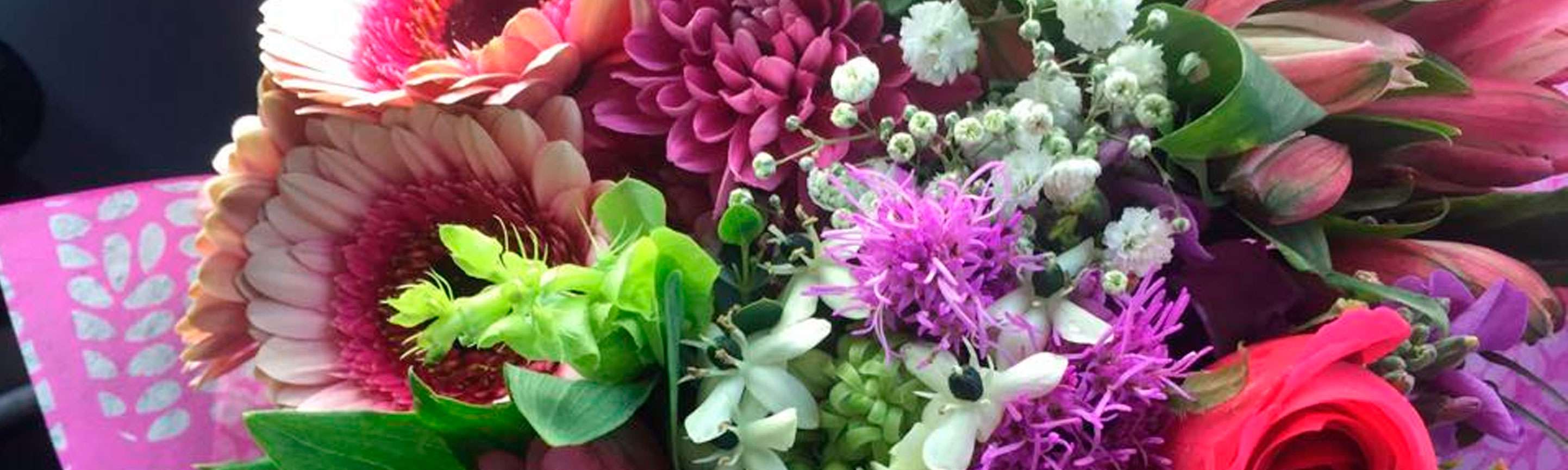 Portada de Vallarta Gifts