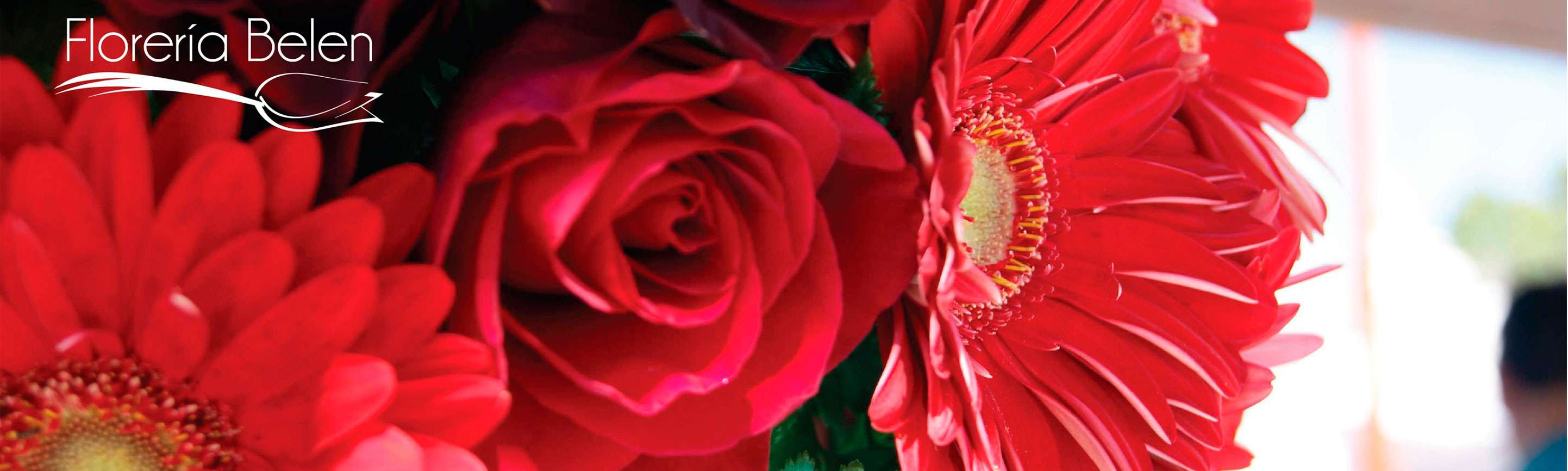 Portada de Florería Belén