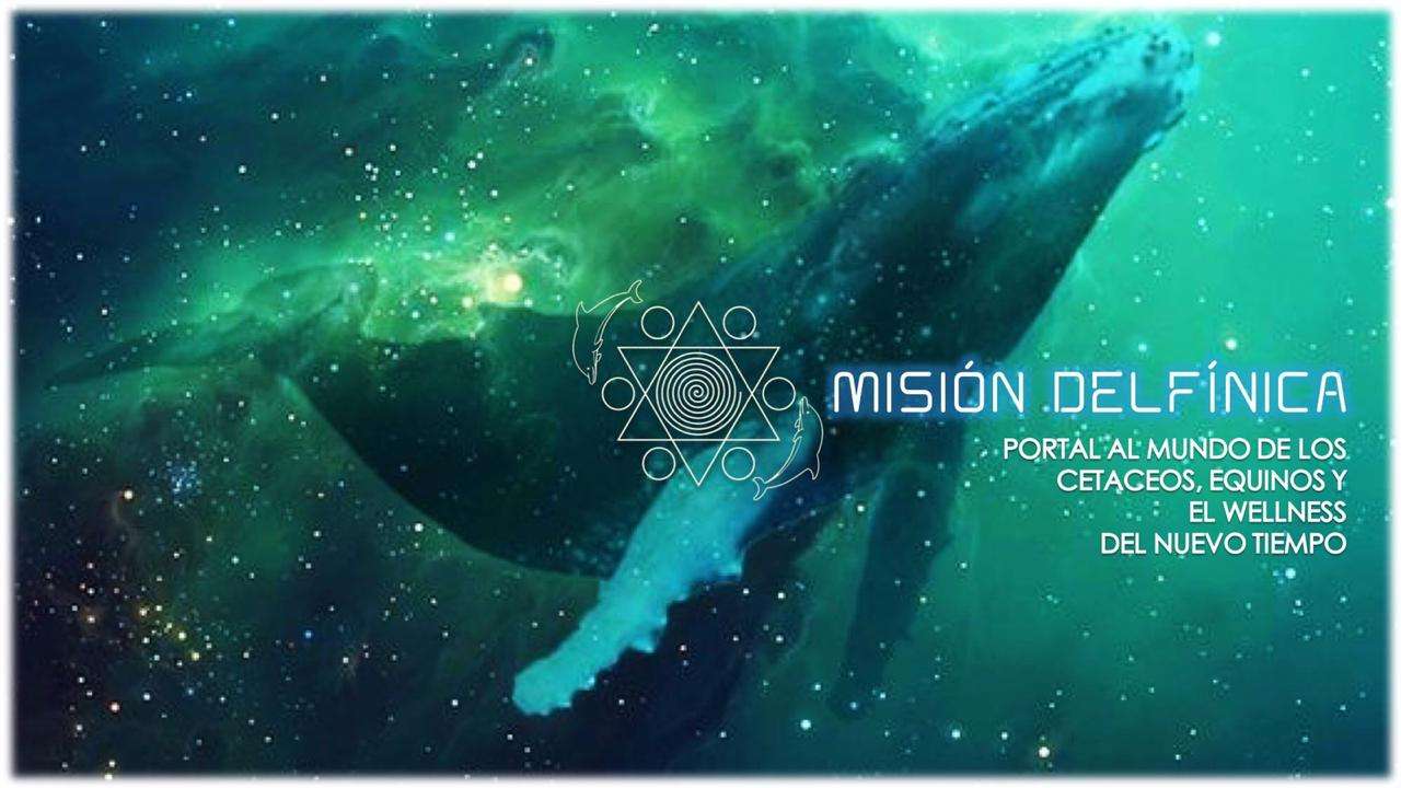 Portada de MISIÓN DELFÍNICA
