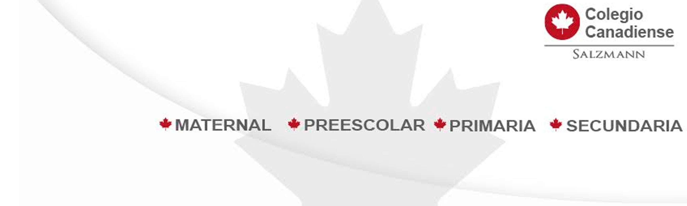 Portada de Colegio Salzmann