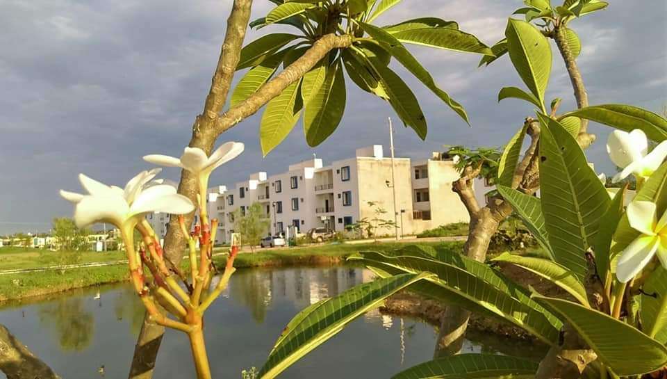 Portada de New store