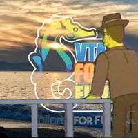 Portada de VALLARTA FOR FUN