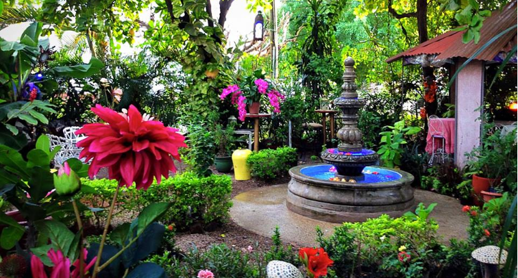 Portada de Crepas Sweet Dreams 