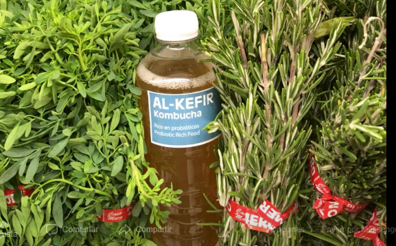 Portada de AL KEFIR Y KOMBUCHA