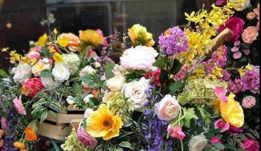 Portada de Espacio Natural