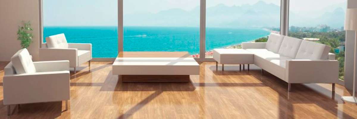 Portada de Century 21