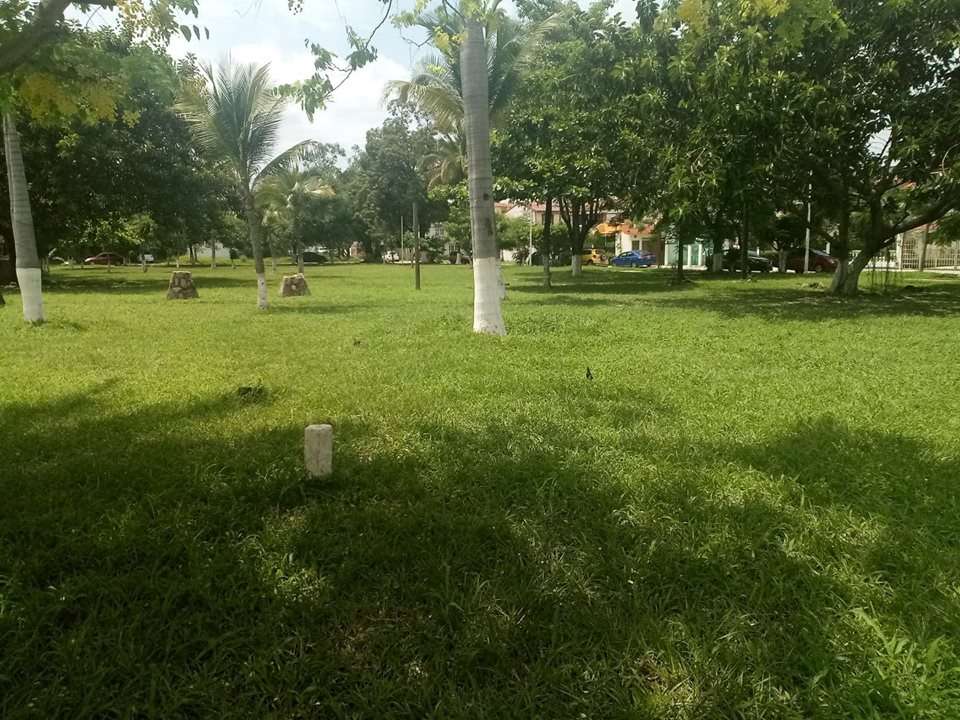 Portada de New store