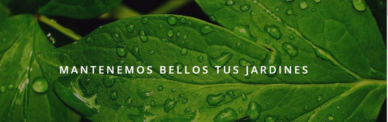 Portada de Grupo Viverde