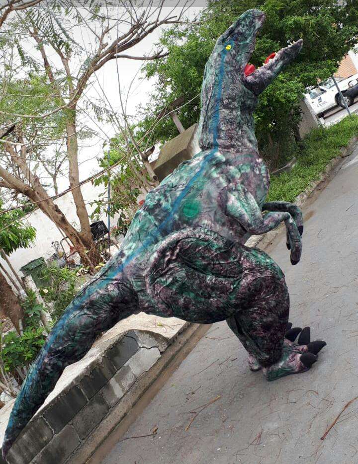 Portada de SHOWS INFANTILES PV