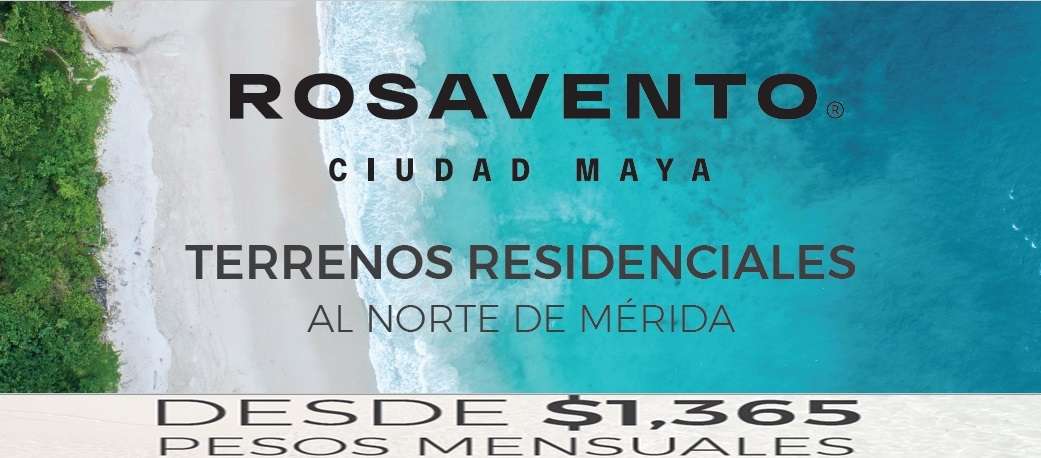 Portada de New store