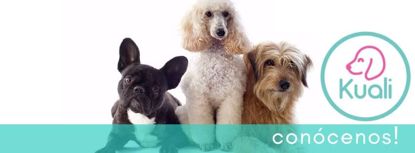 Portada de Veterinaria Boutique Kuali