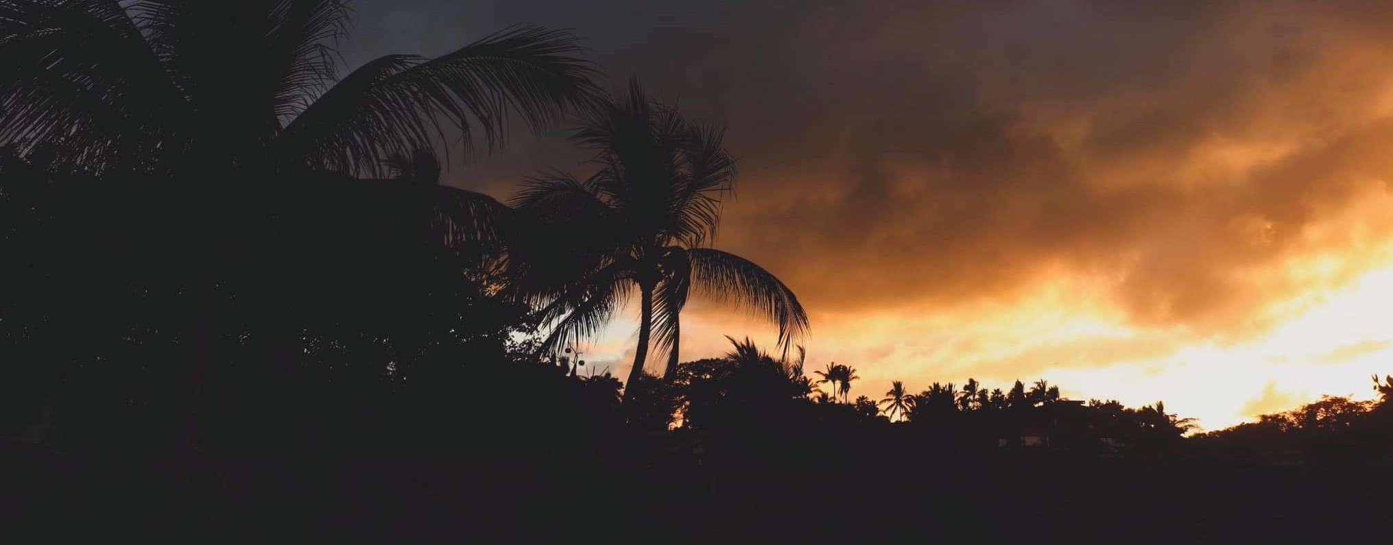 Portada de New store