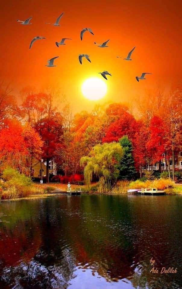 Portada de New store