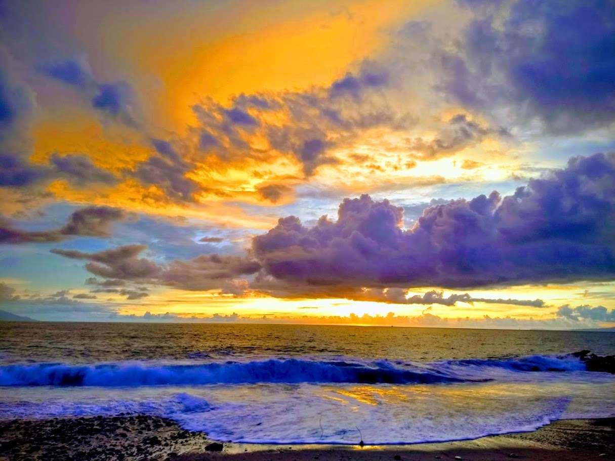 Portada de New store