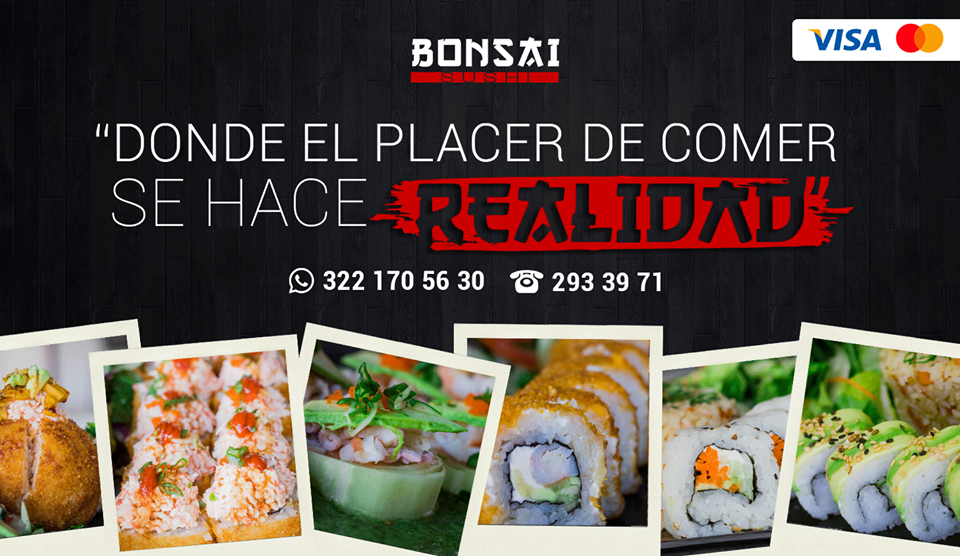 Portada de Bonsai Sushi Aramara