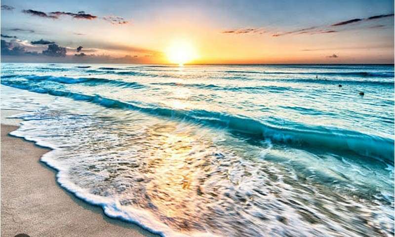 Portada de New store