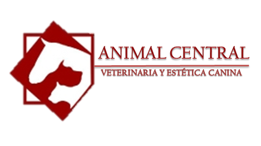 Portada de Animal Central