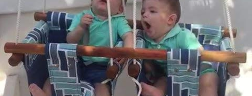 Portada de Blue Bunny swings