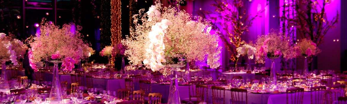 Portada de BELLÍSSIMO JARDÍN LOUNGE