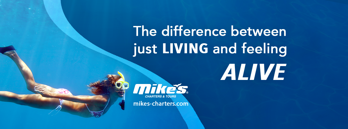 Portada de Mike's Chaters &amp; Tours