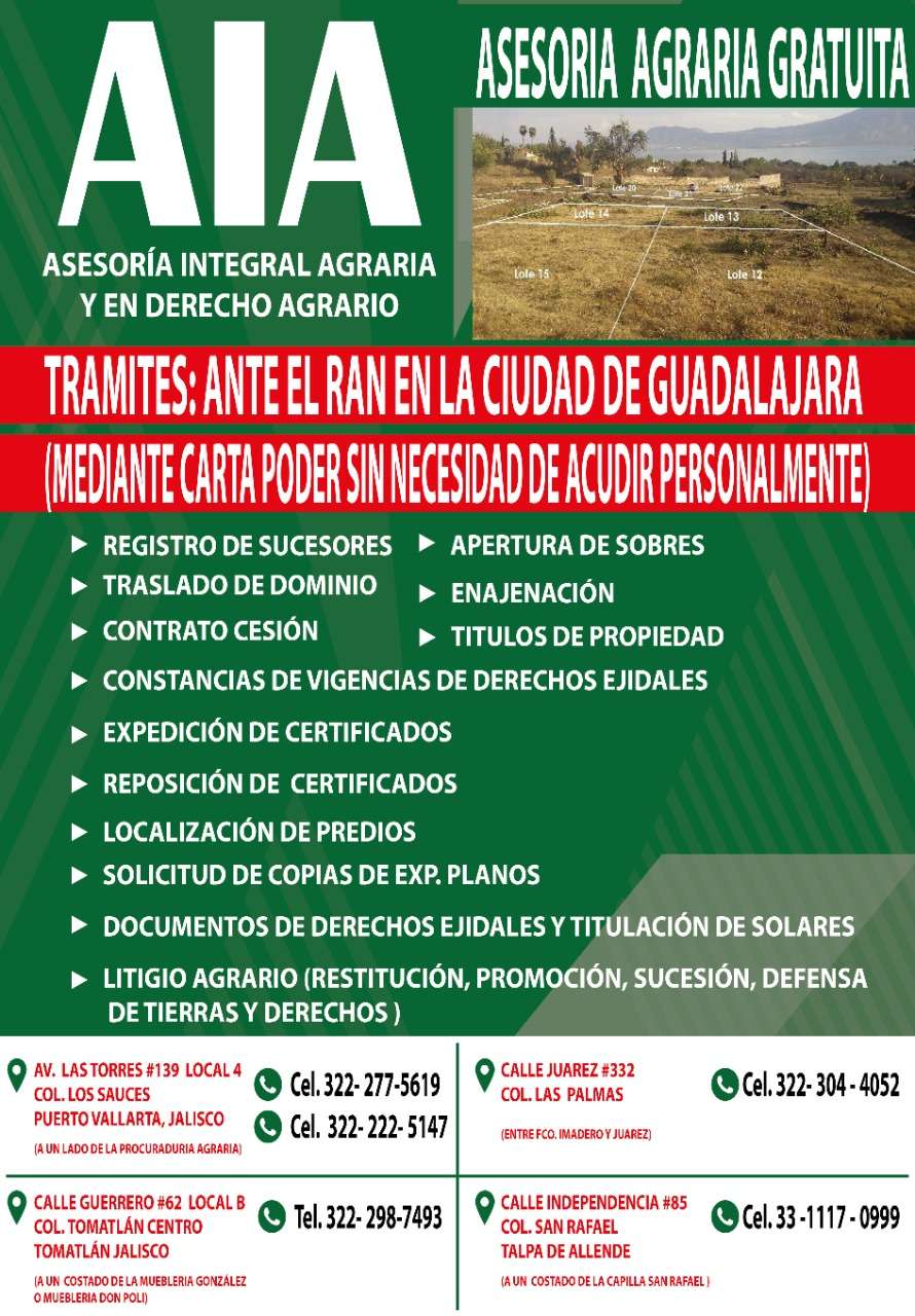 Portada de New store