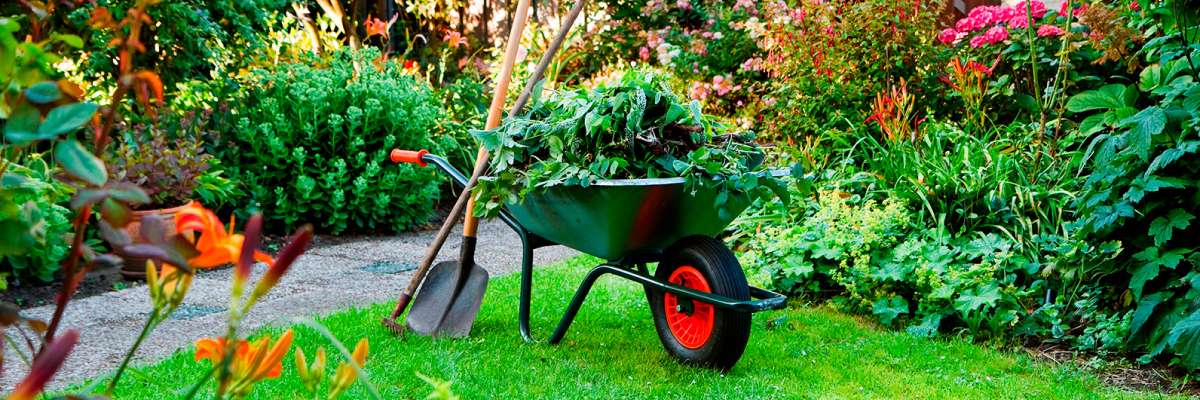 Portada de Ramírez Jardinería
