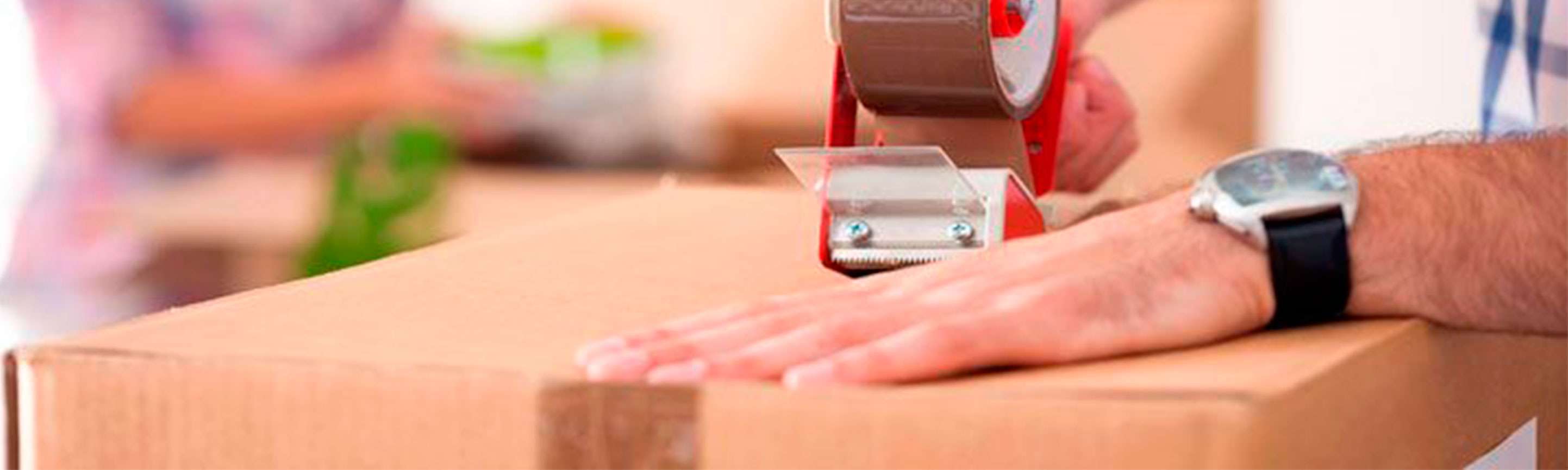 Portada de Fletes y Mudanzas EGA 