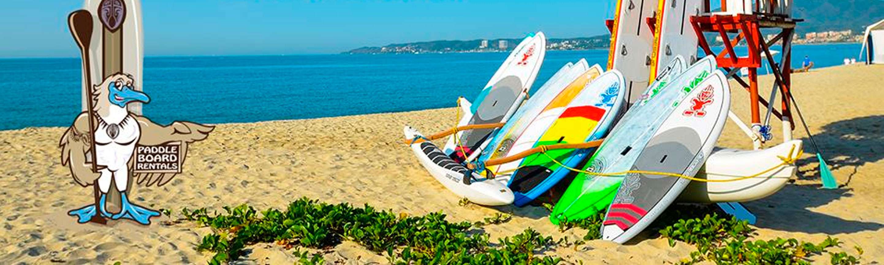 Portada de Pacific Paddle Surf