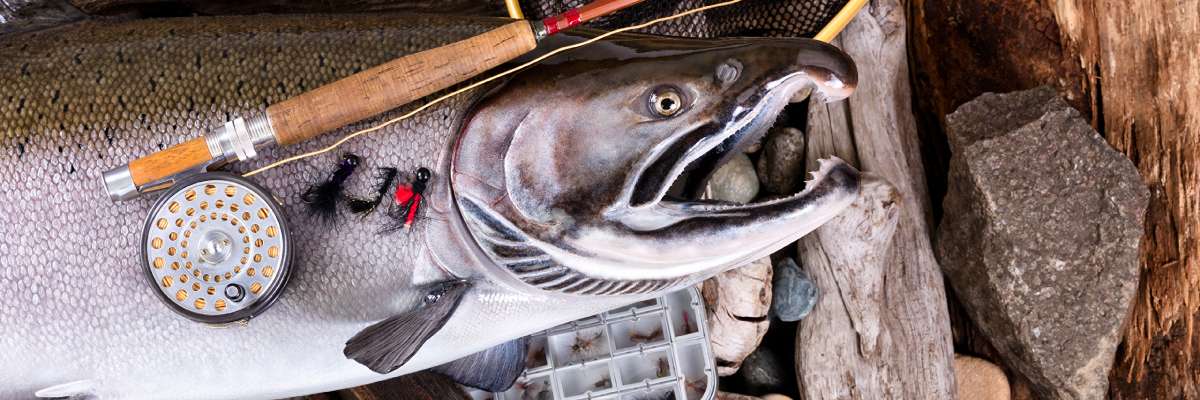 Portada de ZARAGOZA MARINE