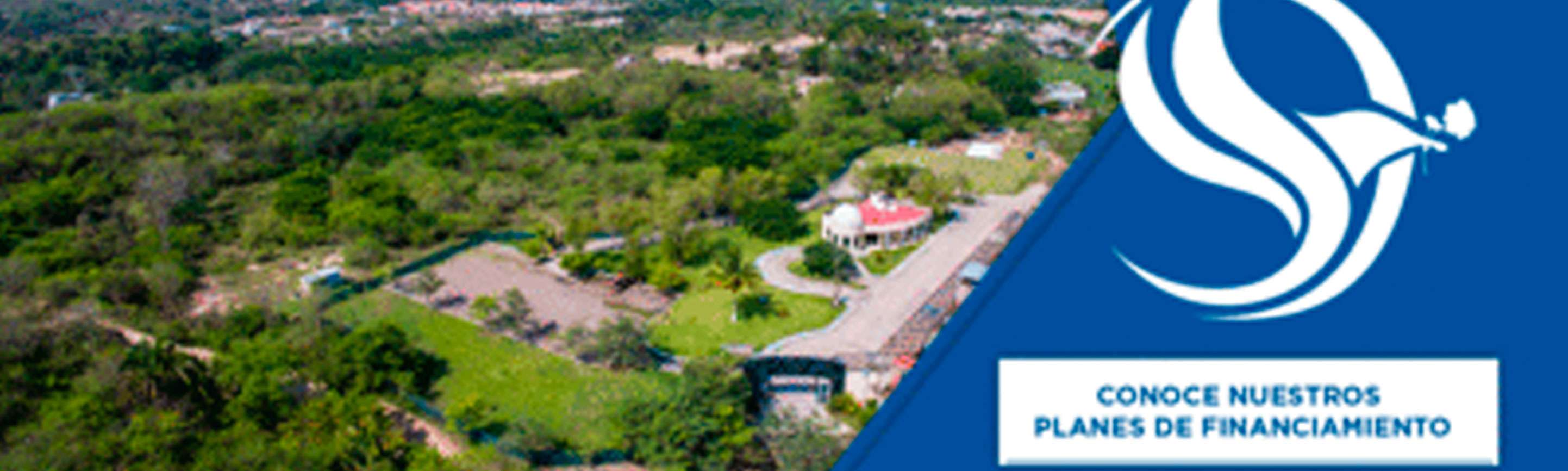 Portada de Paradise Memorial Park 