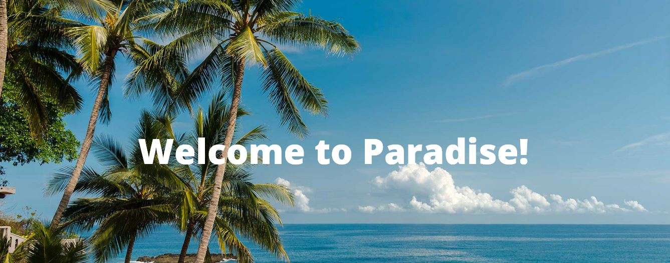 Portada de New store