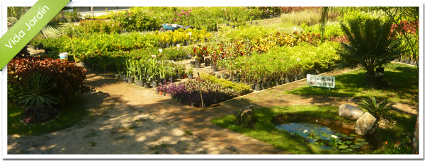 Portada de Vida Jardín 