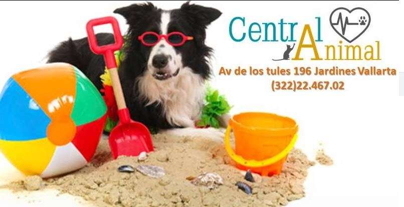 Portada de Central Animal