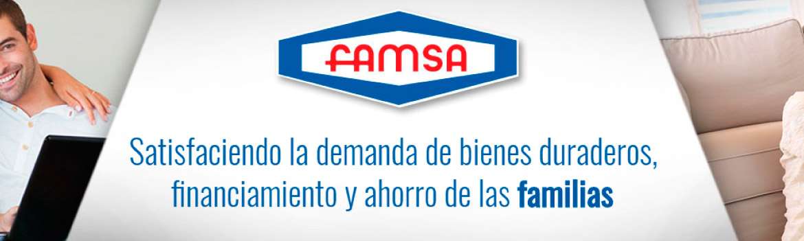 Portada de FAMSA metropolitana