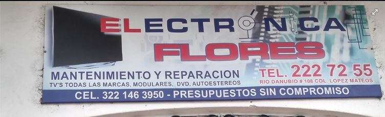 Portada de Electrónica Flores