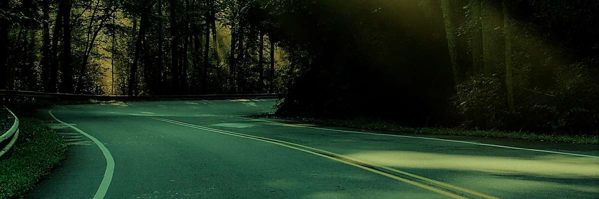 Portada de Transportes Sanchez Barcelata