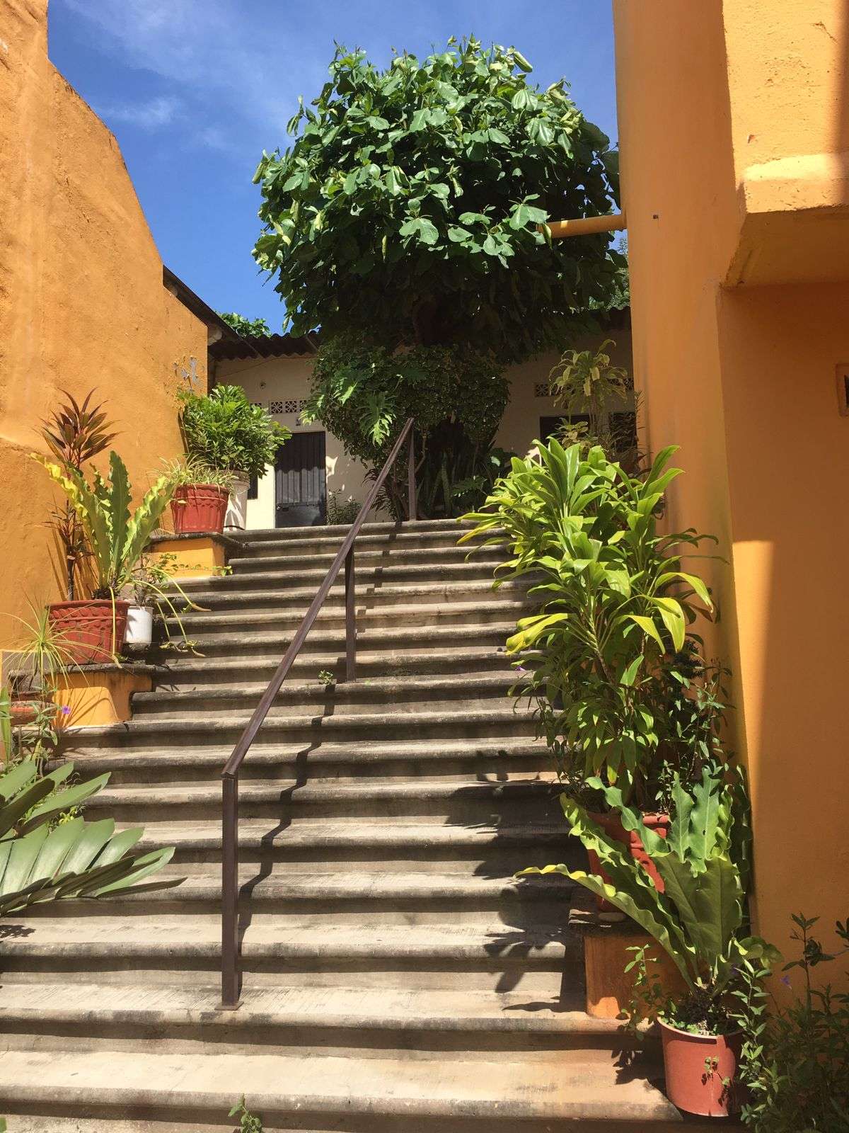 Portada de New store