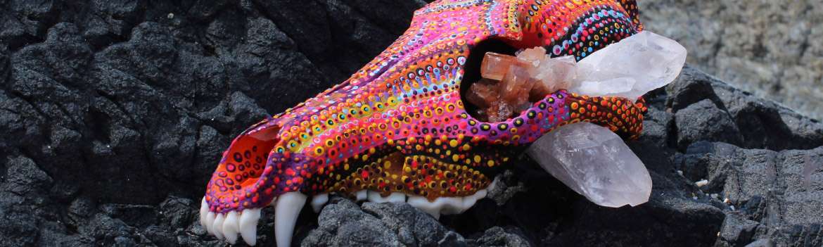 Portada de Eccentrica