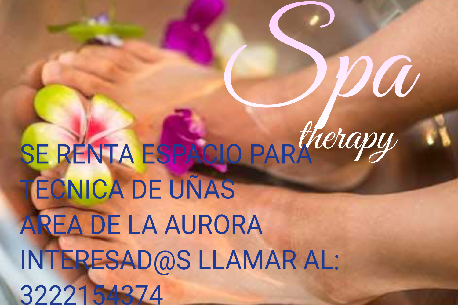 Portada de New store