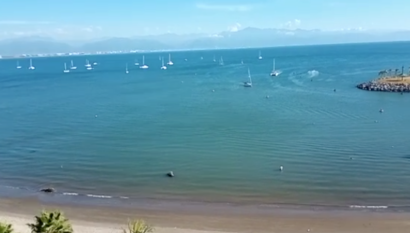 Portada de New store