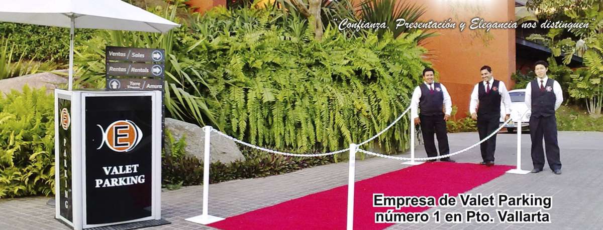 Portada de Vallarta Parking 