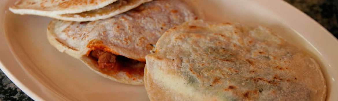 Portada de Las gorditas norteñas 