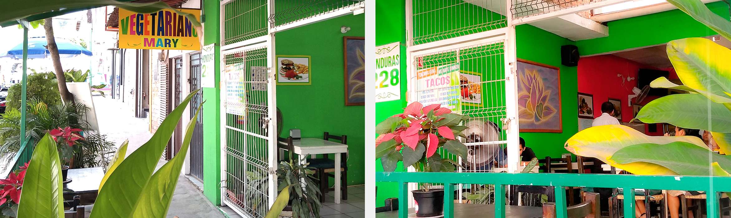 Portada de Restaurant Vegetariano Mary