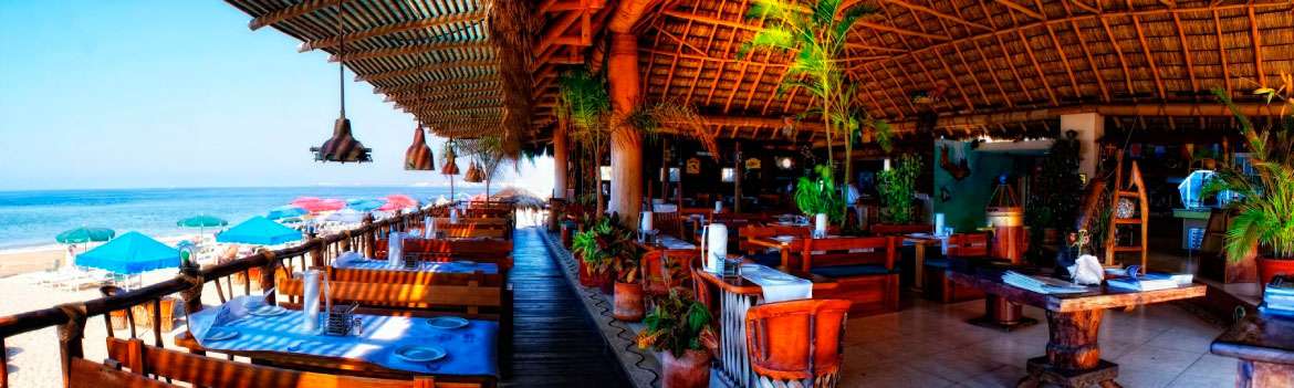 Portada de The Blue Shrimp