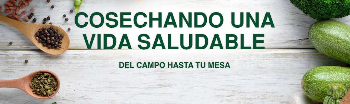 Portada de La Huerta 