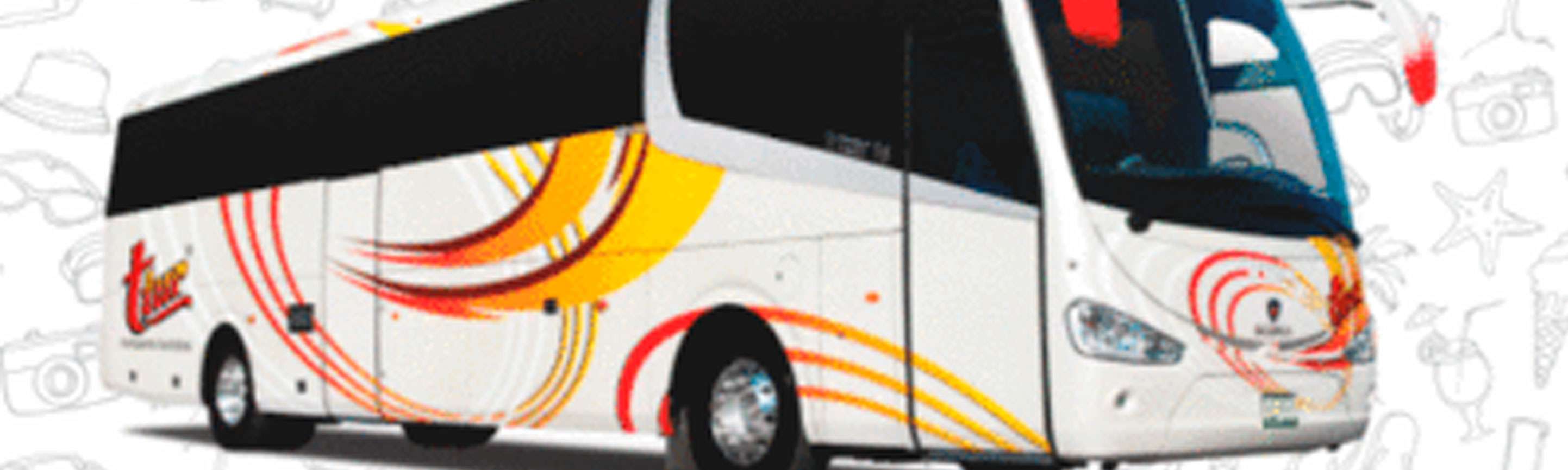 Portada de Autobuses de la Piedad